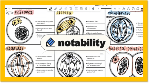 【速报】Notability 实行订阅制四年后,又把一次性买断请回来了,而且带来了 Android 版